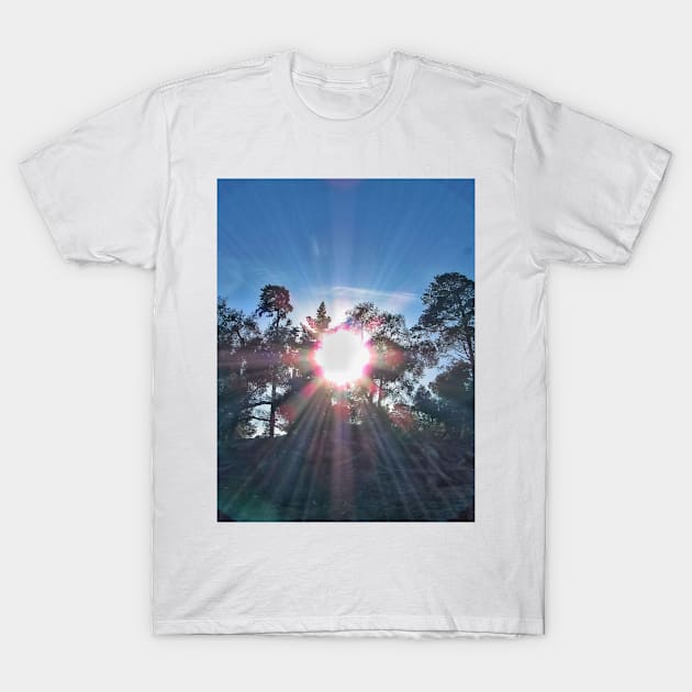 Dazzling sunlight T-Shirt by Simple pleasures 